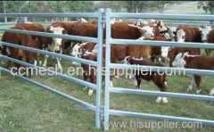 Hot sale factory cheap cattle fencing panels for sale