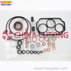 Diesel Fuel Engine Pump Parts Overhaul Kit For Auto Rebuild Kits/Repair Kit For VE Parts And Injector Pump