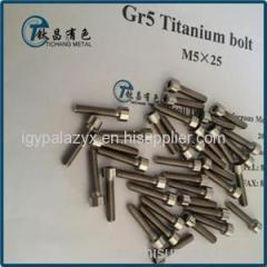 JIS B1176 Titanium Hex Socket Thin Bolts & Screws