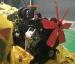 125 HP Industrial / Commercial Diesel Engines High Speed Vertical Cylinder Arrangement
