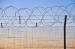 Welded Stainless Steel Barbed Wire Security Fence For Frontier / Gardens Apartments