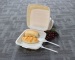 Biodegradable Takeaway Food Container/Disposable Dinner Set