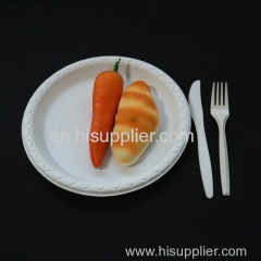 Free Sample Fashion Design Reusable Party Plate for Salad