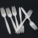 Cornstarch Flat Fork/ Biodegradable Cutlery for Traveling