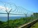 Government Buildings Cross / Single Coiled Razor Wire With Smooth Surface