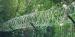Low Carbon Steel Concertina Razor Wire For Protecting Mesh / Grass Bound