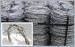 Residential Buildings / Military Barbed Wire Coil ISO9001 SGS Certification