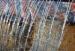 500mm 600mm Sharp Razor Concertina Wire Fence ISO9001 SGS Certification