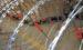 Custom Security Single Coiled Razor Wire High Protection Neat Appearance