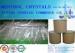 Colourless White Menthol Crystals Pharmaceutical Intermediates CAS 89-78-1