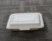 Biodegradable Lunch Box Disposable Tableware