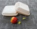 Food Grade Disposable Plastic Salad Boxes/Cheap China Outdoor Biodegradable Food Boxes