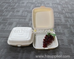 Food Grade Disposable Plastic Salad Boxes/Cheap China Outdoor Biodegradable Food Boxes