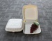 Food Grade Disposable Plastic Salad Boxes/Cheap China Outdoor Biodegradable Food Boxes