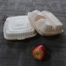 Square Shape 3 Compartments Food Containers/Disposable Lunch Boxes