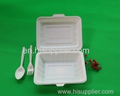 Microwaveable Safe Plastic Bento Lunch Boxes/Disposable Picnic Food Boxes