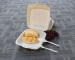 100% Biodegradable Bagasse Disposable Food Container Made in China