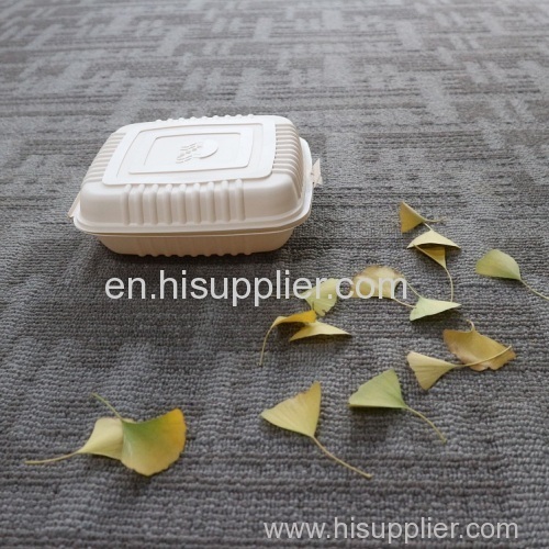 High Quality Biodegradable Disposable Food Container for Restaurant