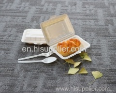 Big Size Take Away Salad Box Disposable/ Biodegradable Bagasse Pulp Salad Boxes with 600ML Capacity