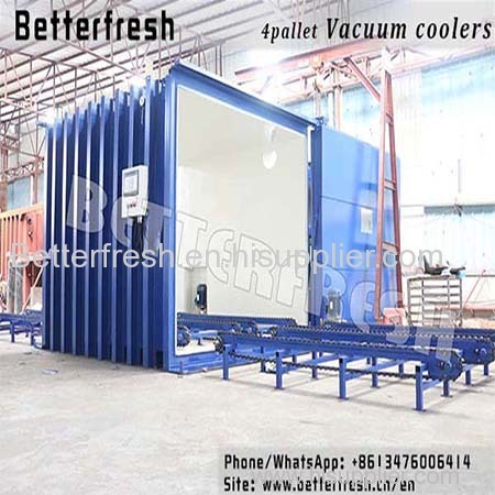 vegetable Vacuum cooler chiller