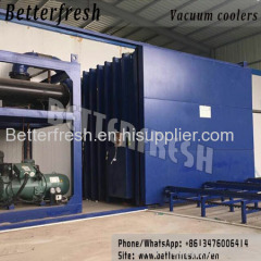 Betterfresh cabbage mushroom vegetable vacuum cooler/tube/chiller/cooling machine