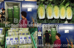 Betterfresh Fresh produce salad leaf vegetable vacuum chiller/tube/Cooling machine