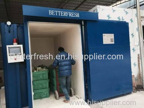 Betterfresh Cauliflower Kohlrabi Greens Vacuum cooler/tube/chiller/cooling machine 