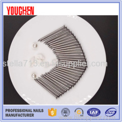 Moderate price high quality common wire iron nails