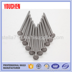 Moderate price high quality common wire iron nails