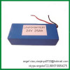 rechargeable batteries lifepo4 24V battery charger 30ah