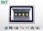 COB / 4PCS Type Outdoor Led Flood Lights High Power For Tunnel / Subway