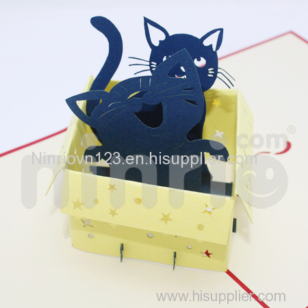 Cat in box 3d pop-up card