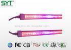 Special Lighting High CRI Full Spectrum T5 T8 Tube LED Grow Light for Medical Plants Veg and Bloom I