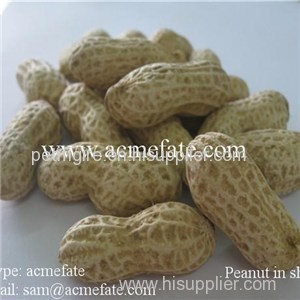 China new crop raw peanut groundnut in shell with double wash