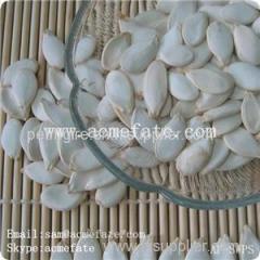 Hot sale snow pure white pumpkin seeds in shell with high quality