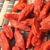 China Dried Goji Berry