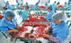 China Dried Goji Berry