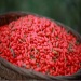 High Quality Chinese Wolfberries Ningxia Goji Berries Organic Dried Fruit