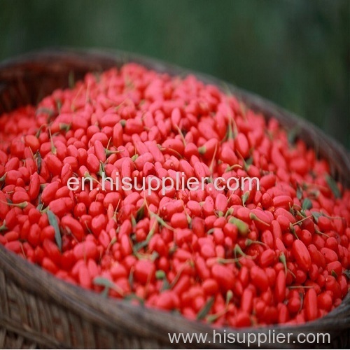 Chinese High Quality Red Ningxia Goji Berries Organic Dried Fruit