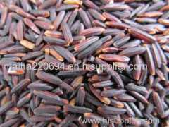 Organic Black Grain Rice From Vietnam For Sale With High Quality