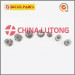 Delivery Valve-Ve Pump Parts