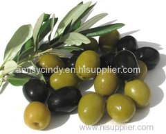 Automatic Olive Pitting Machine