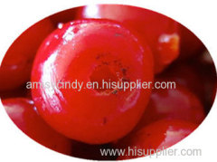 Automatic Cherry Pitting Machine