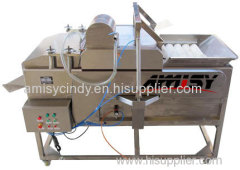 Fruit and Vegetable Cleaning Machine