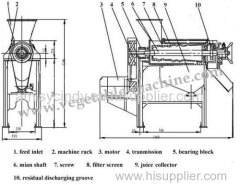 Automatic Screw Juice Extractor