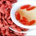 factory supply dried goji berry/Chinesewolfberry