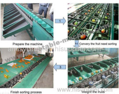 Automatic Fruit Sorting Machine