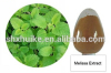 Lemon Balm Leaf Extract Powder