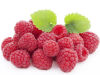 Natural Raspberry Seed Extract Ketone Powder