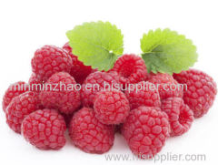 Natural Raspberry Seed Extract Ketone Powder